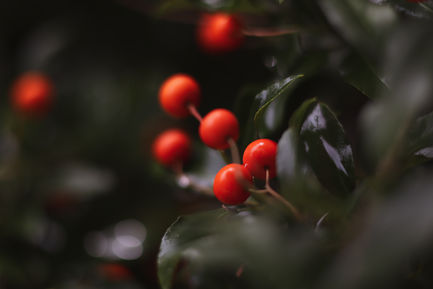 22342dd3-2ce1-4ac0-9709-511f0f25a537