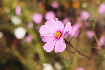 77fda19f-d7b5-4937-b0b6-320f9e79301c