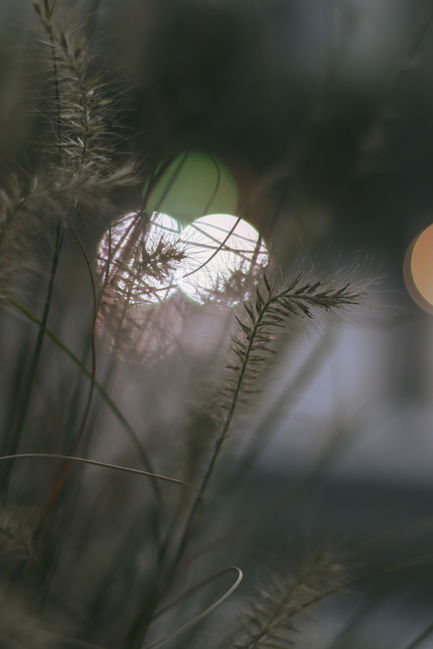 8995ce8e-b1f9-434b-8081-8bad16358ec8