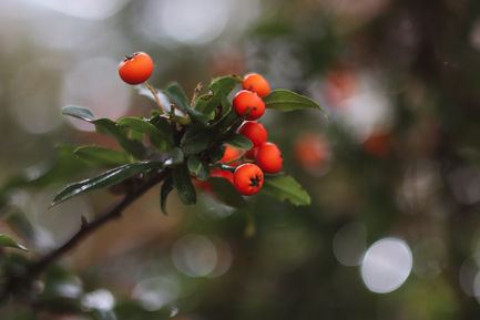 dda28634-9124-44c1-81dc-c7a282caf8d7