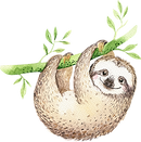 Sloth
