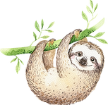 Sloth