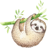 Sloth