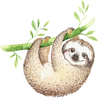Sloth