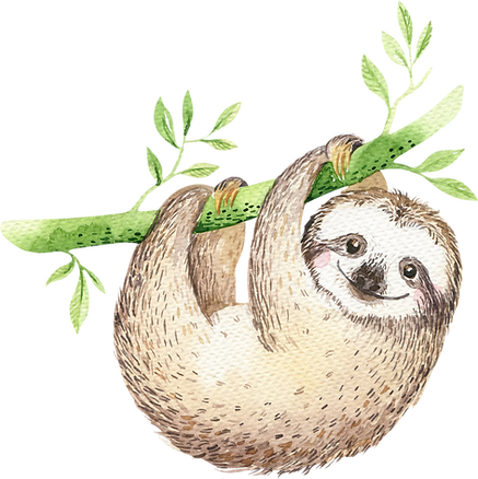 Sloth