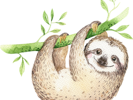 A Poem on International Sloth Day