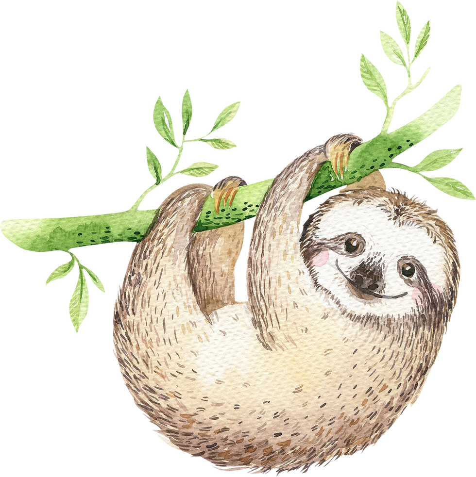 Sloth