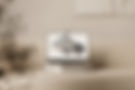 MacBook Mockup_edited.jpg