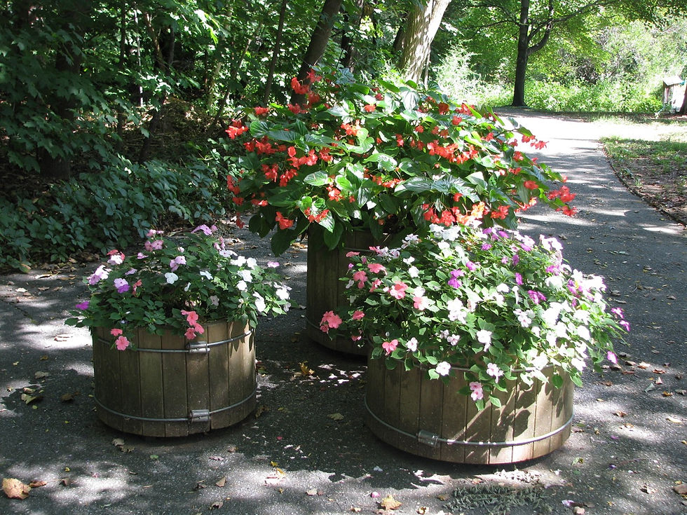 W.MD. planters
