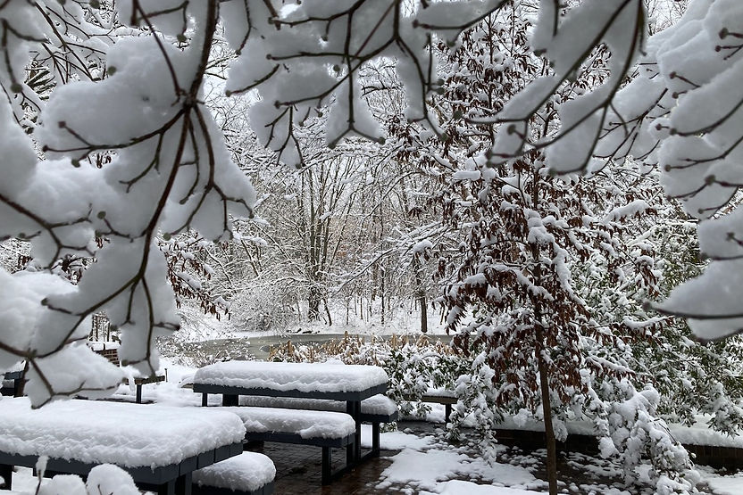 A5B54E32-4377-4939-B64E-3563CB3087FE (1).jpeg