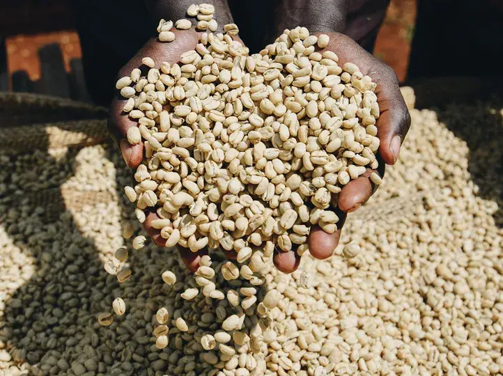 Thumbnail: Ethiopia | Washed | Yirgacheffe