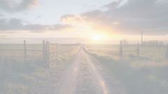 Sunset-Over-Rural-Dirt-Road_b_edited.jpg