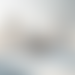 The Importance of Visualizing Architectural Designs in 3D
