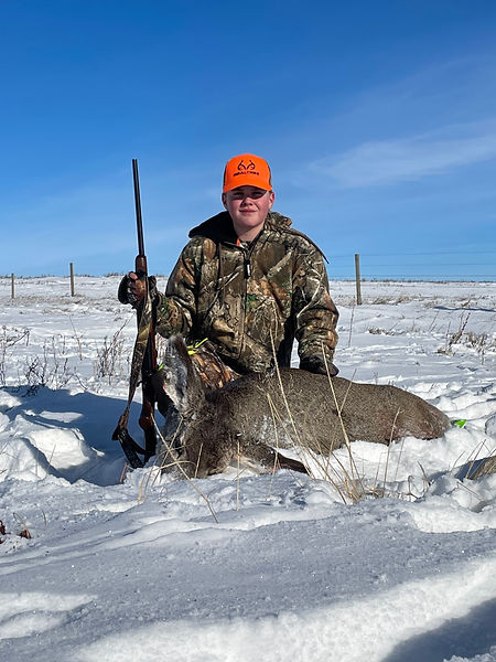 Callum Mule deer doe 2022.jpg