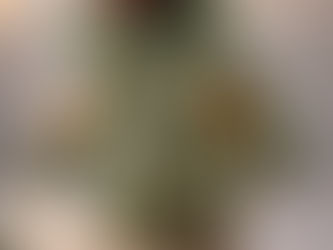 Araukaria w doniczce owiniętej jutą, udekorowana szyszkami, jabłkiem gwiazdkami i cynamonem