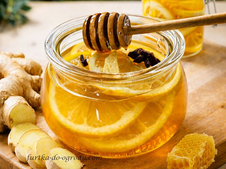 Kiszone cytryny w plastrach z miodem i imbirem w słoiku, obok rozkrojony imbir z plastrem miodu, a w tle zamknięty słoik kiszonych cytryn.