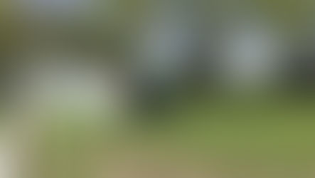 LIMING PONY PADDOCKS