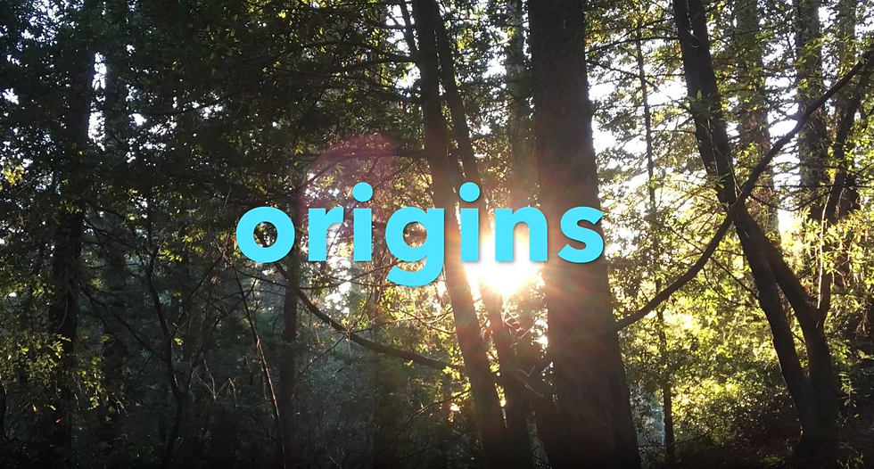 Brian Strang, Orgins