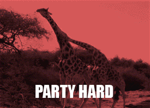 Party.gif