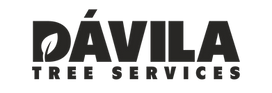Logo negro.png