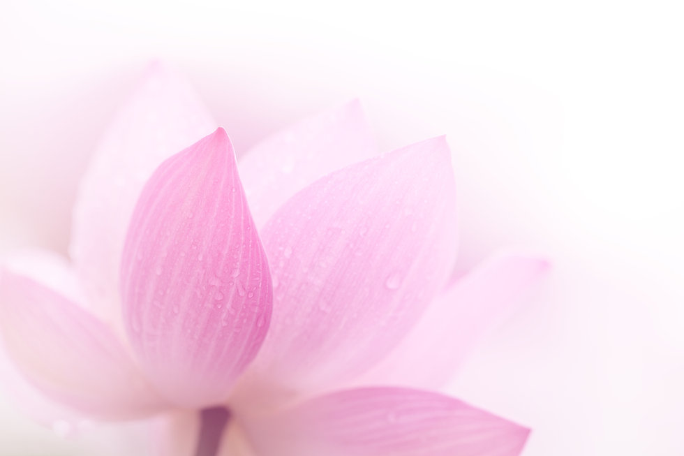 AdobeStock_54351543.jpeg