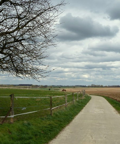 Le village de Longueville