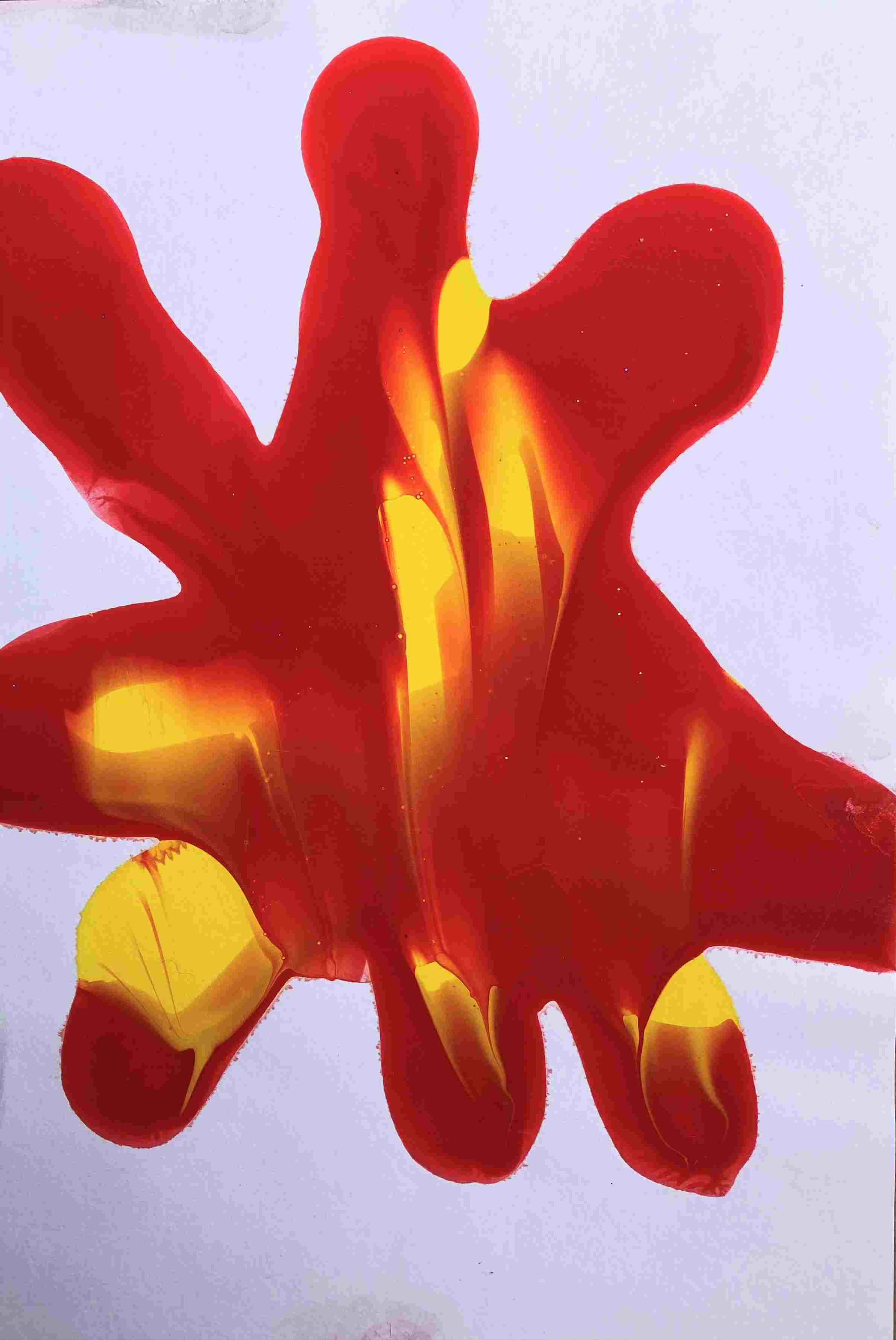 Standing On My Own Eight Legs, Fine Art Print