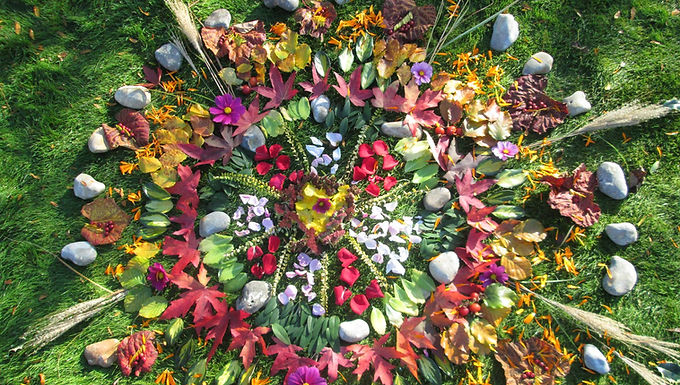The Therapy Garden
