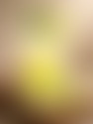 Smoked Mango Highball