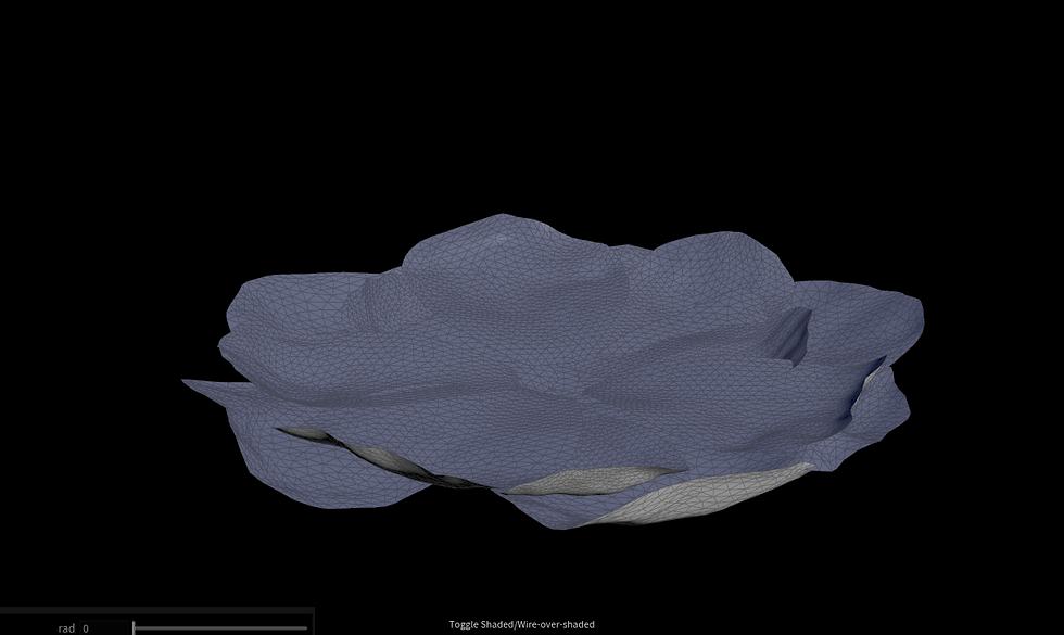 Leaves before simulation