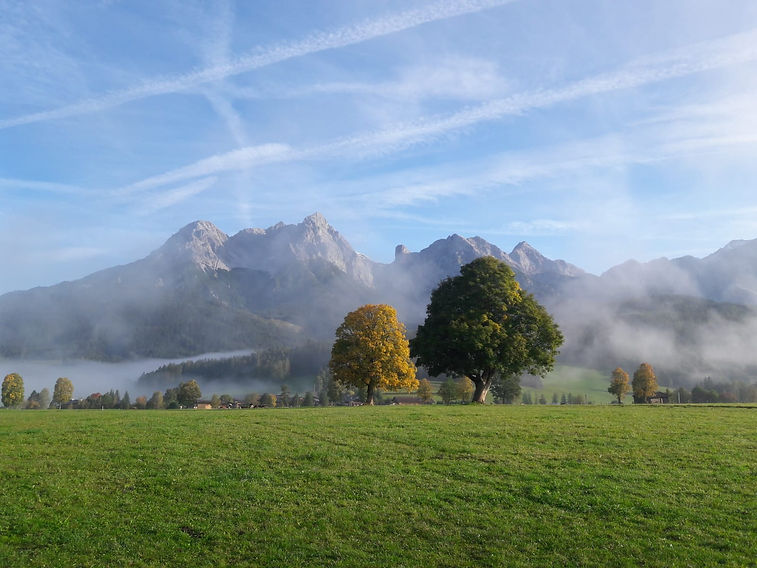 WhatsApp Image 2025-09-11 at 17.00.31.jpeg