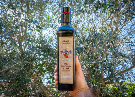 Copia di file-31 copia.jpg