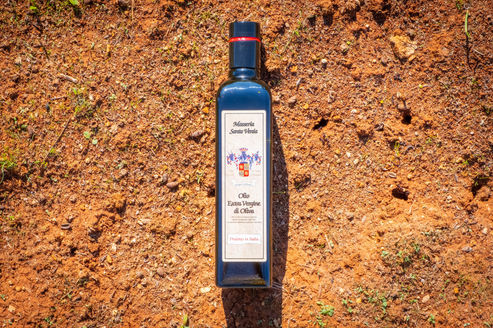 Copia di file-25.jpg