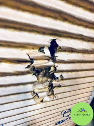 Performance damage
