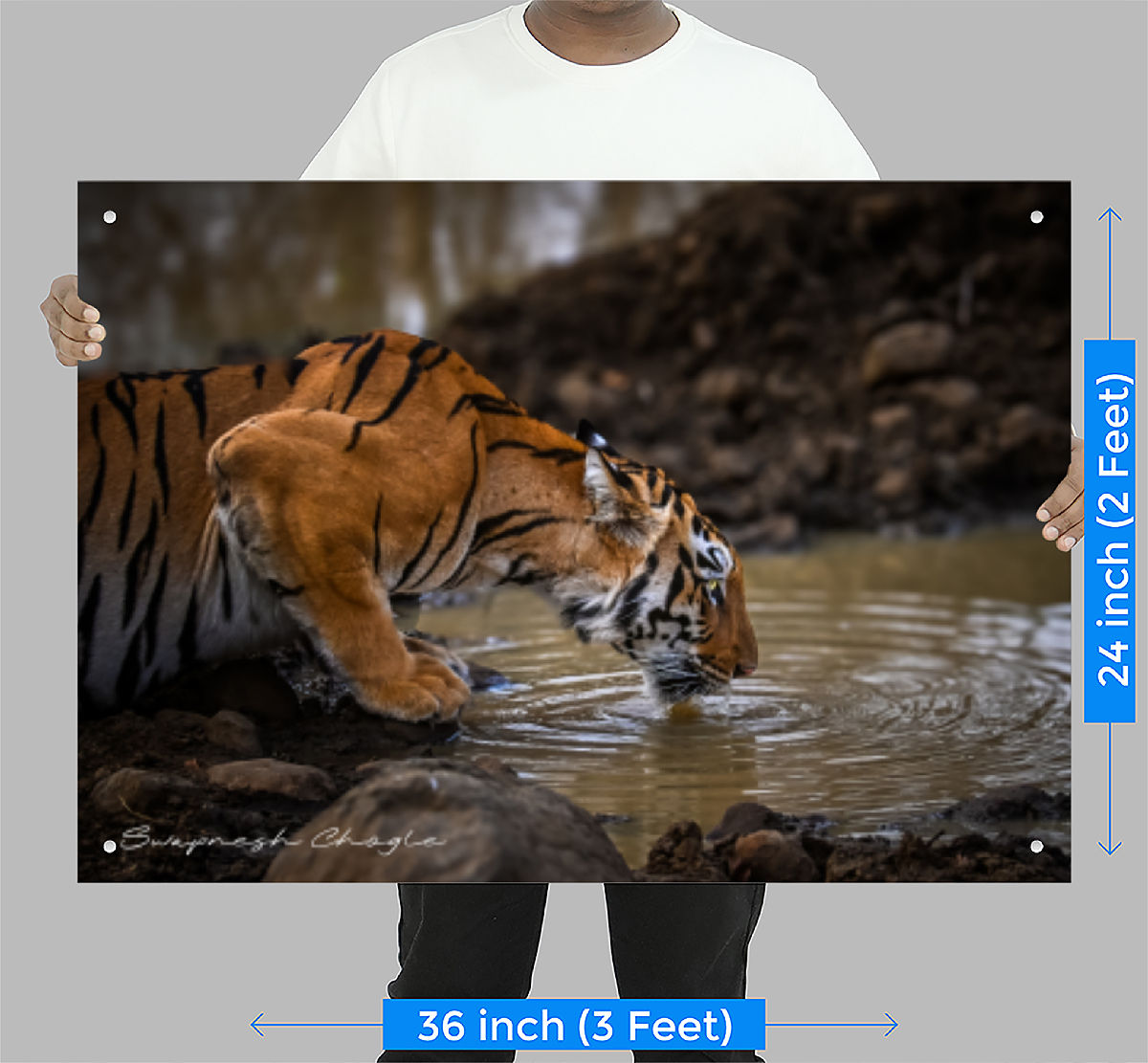 Wall Photo Frame | When the king kneels, forest holds its breath