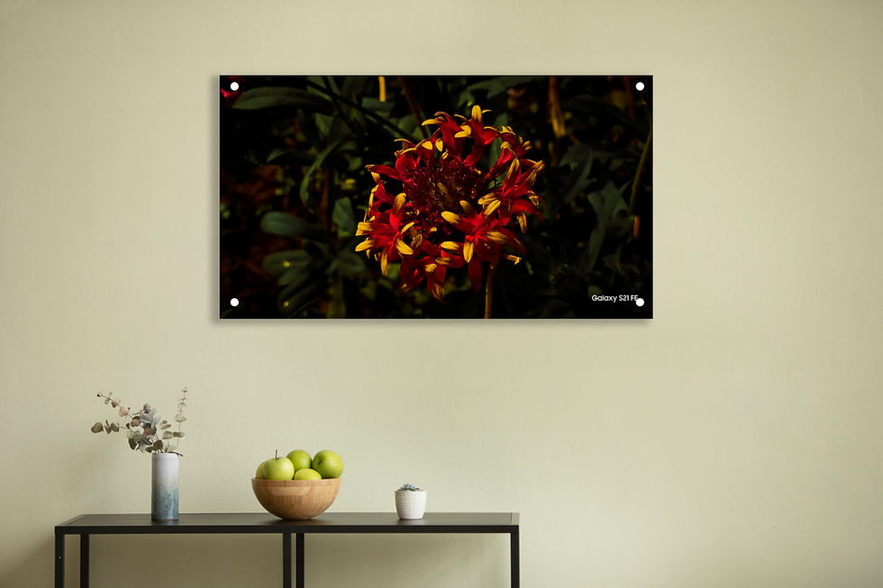 Wall Photo Frame - Abstract Flower