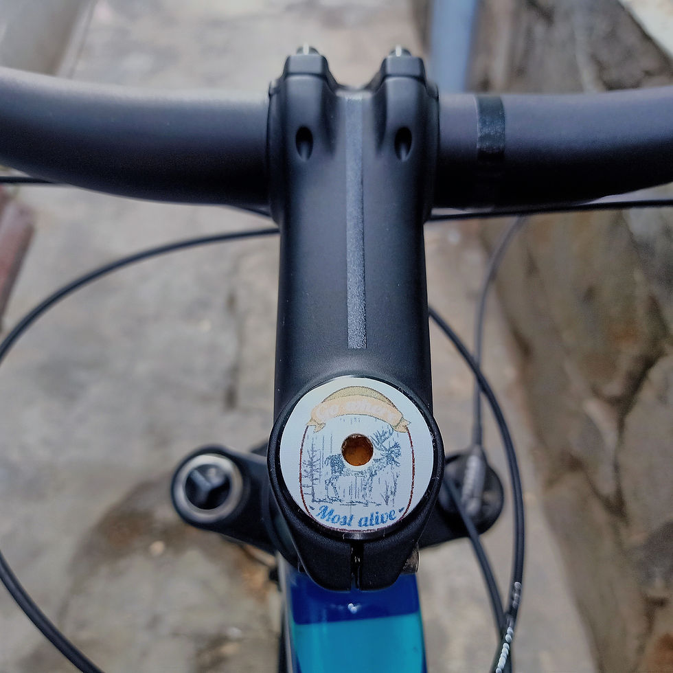 Thumbnail: Go Where You Feel Most Alive - Bicycle muffler cover