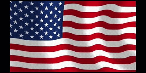 "Symbol of freedom: US flag on asylum page - Immigration law expertise for seekers of refuge."