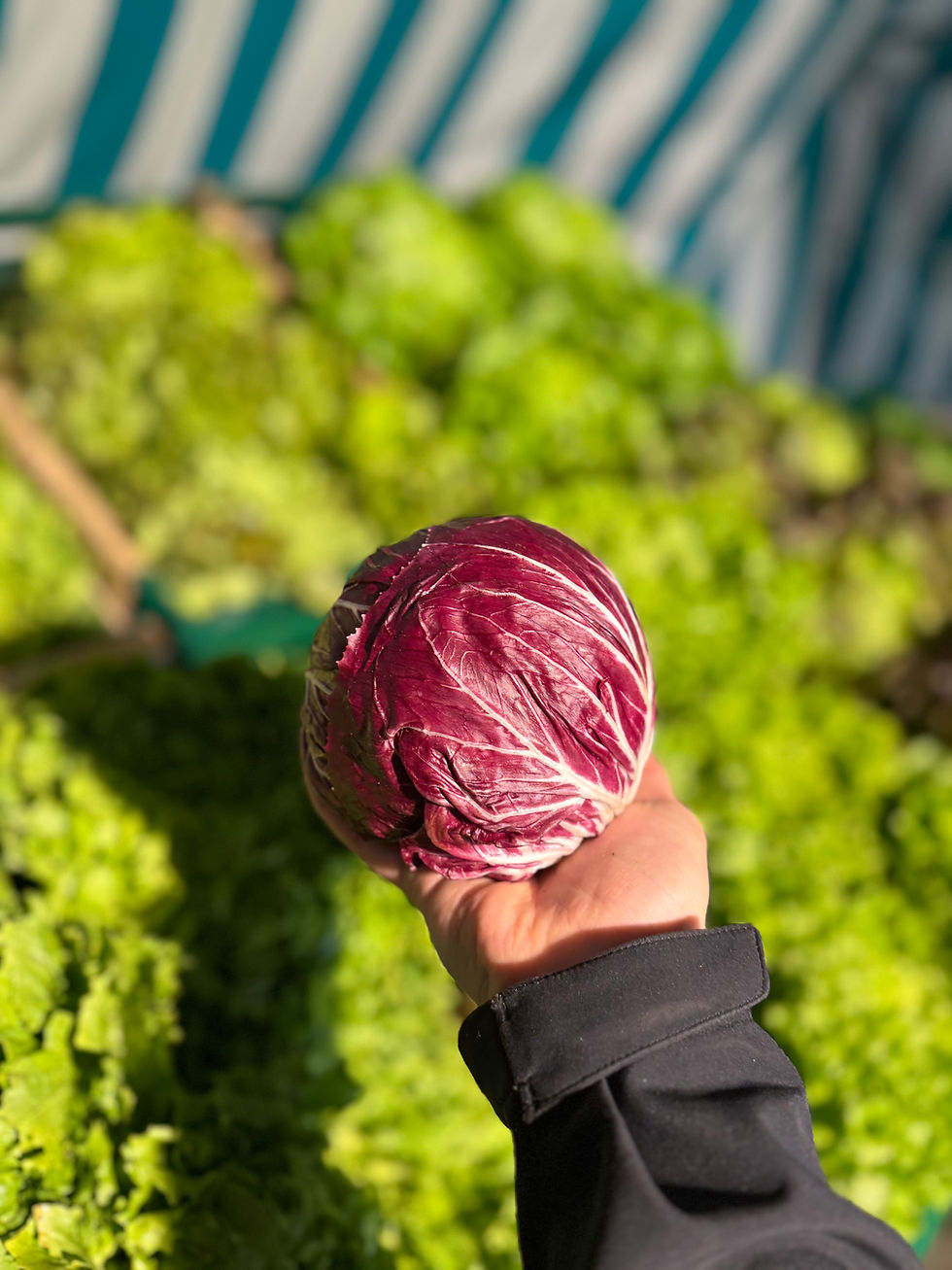 Miniaturbild: Radicchio Bioland 250g