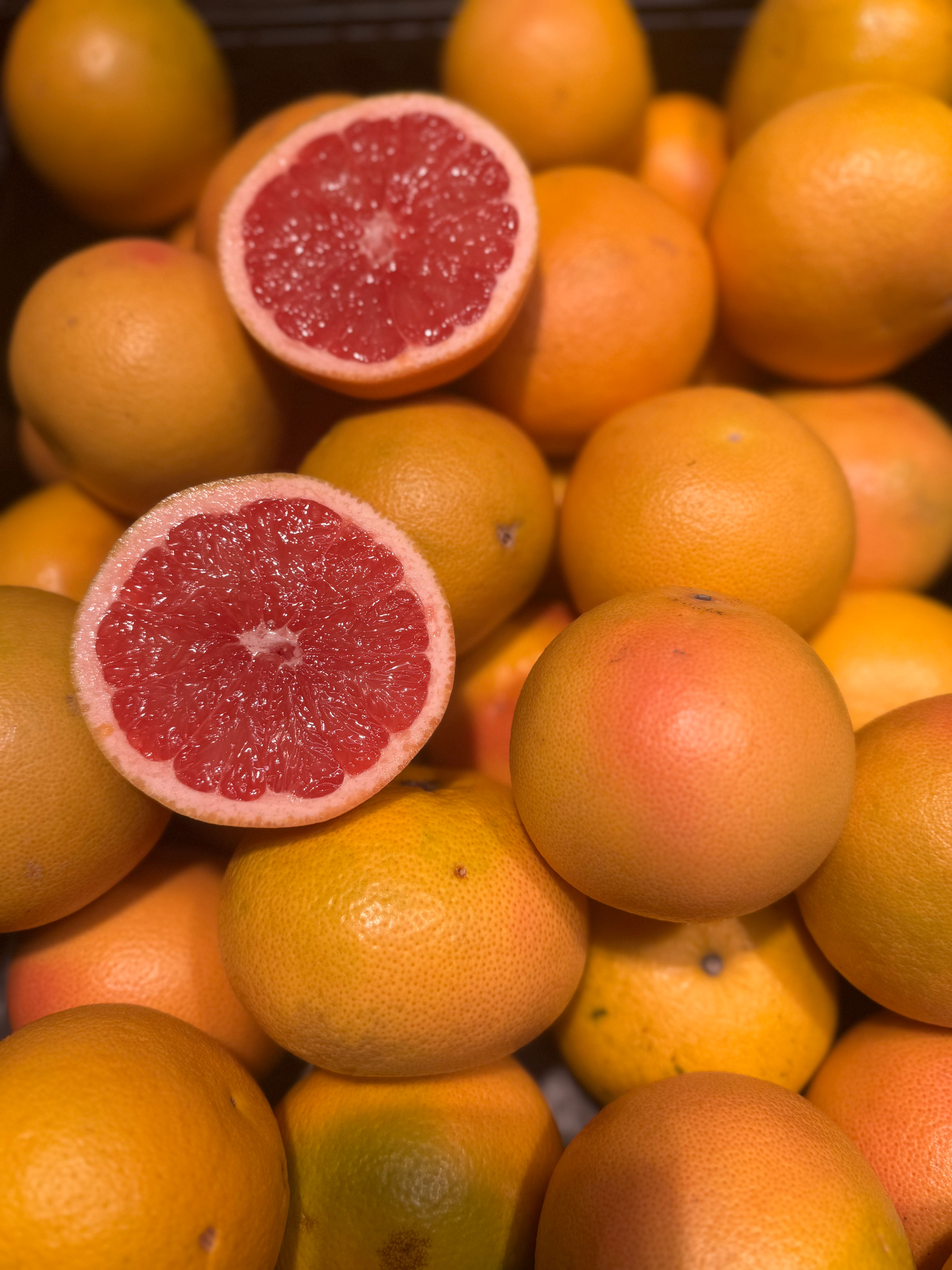Grapefruit rot