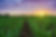 shutterstock_464567915.jpg