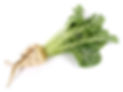 shutterstock_2324949811.jpg