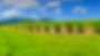 shutterstock_749266774.jpg