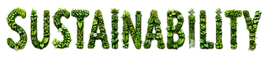 Designer_edited.png