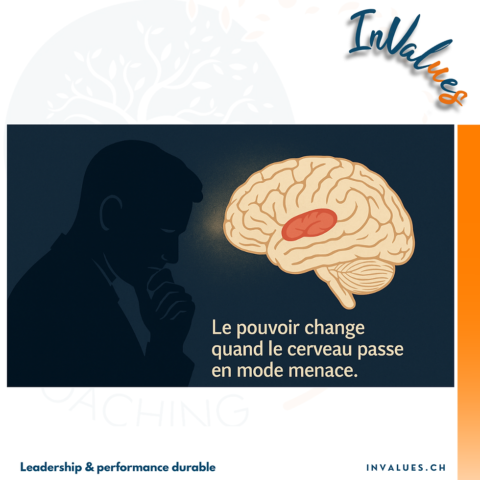 Amygdale, pouvoir et biais de décision : ce que la neuroscience révèle du leadership sous pression