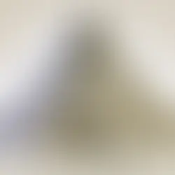 L’ordre naît du chaos, mais la cohérence naît du leadership.