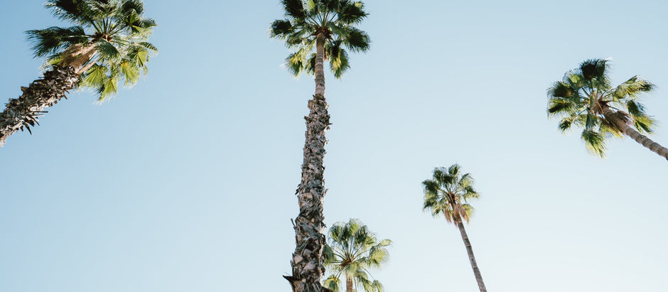 10 Virtual Backgrounds To Brighten Your Office Background for Summer