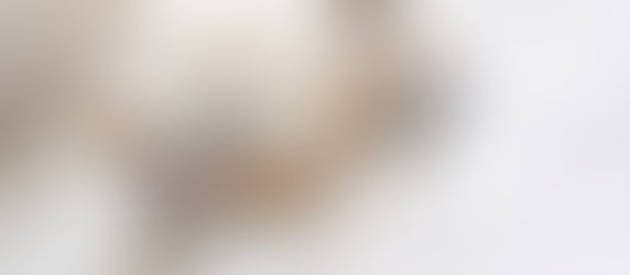 What Should You Include in Your Morning Routine for a Productive Work Day