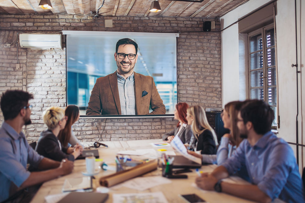 video conference call