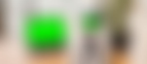 Do You Need a Green Screen to Use a Virtual Zoom Background?